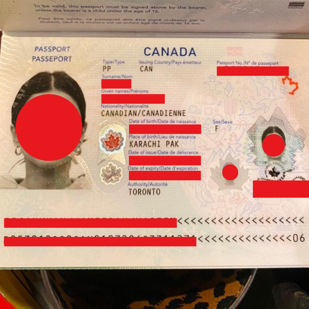 untitled design (11).png