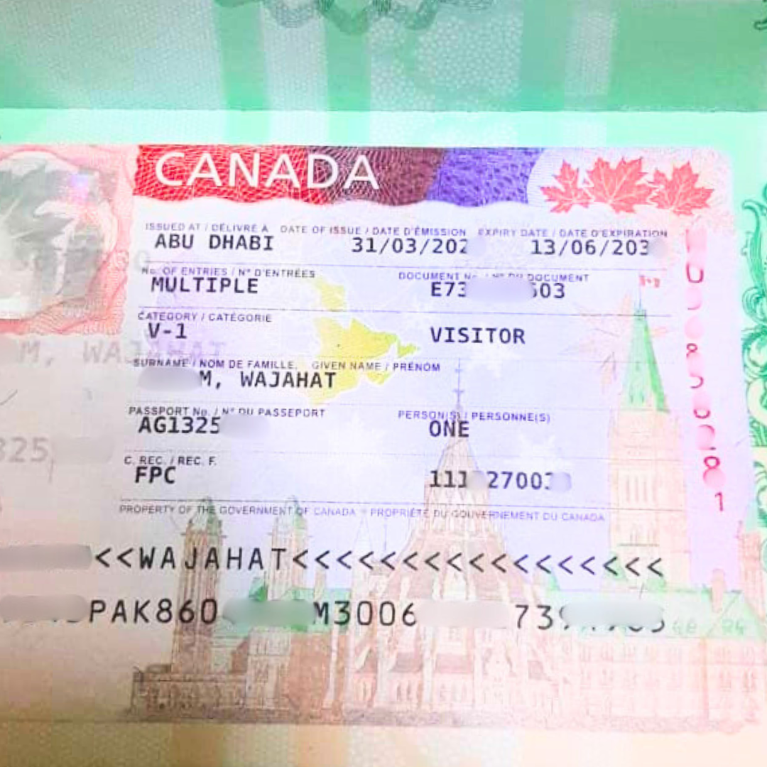 untitled design (10).png